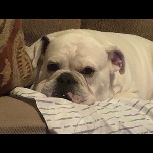 Meet your Posher, Larry